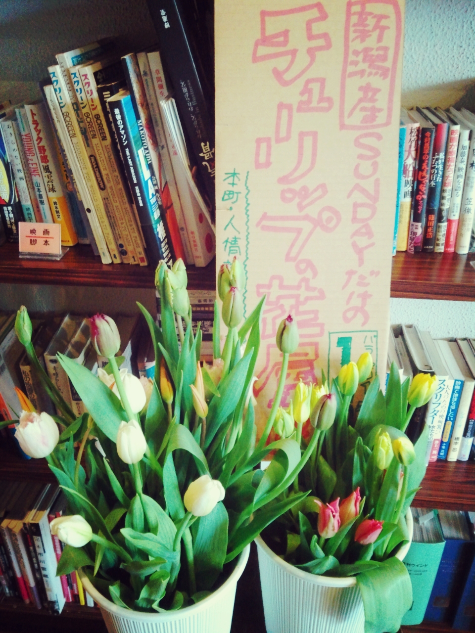 チューリップの花屋さん、次回は3月9日です！