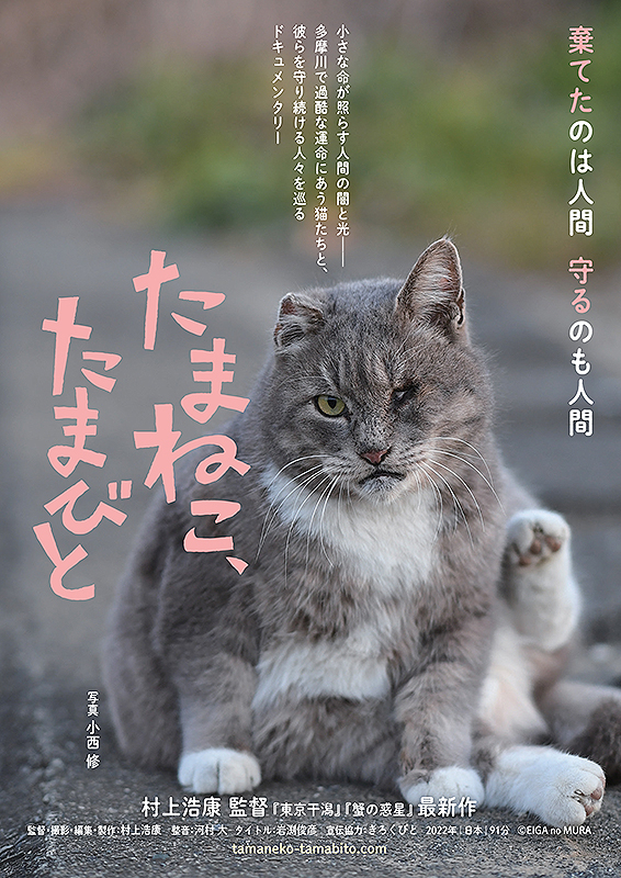 たまねこ、たまびと《にゃじラテ》第二弾